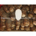 China Novos vegetais de Taro Fresh Crop com melhor qualidade